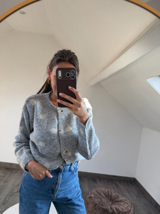 Noéa | grey sweater with scarf