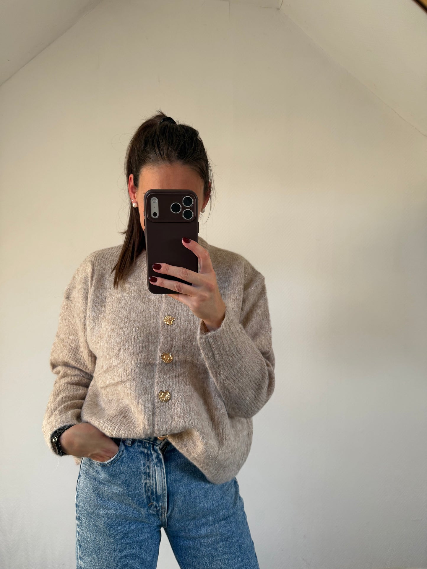 Ellery | taupe sweater